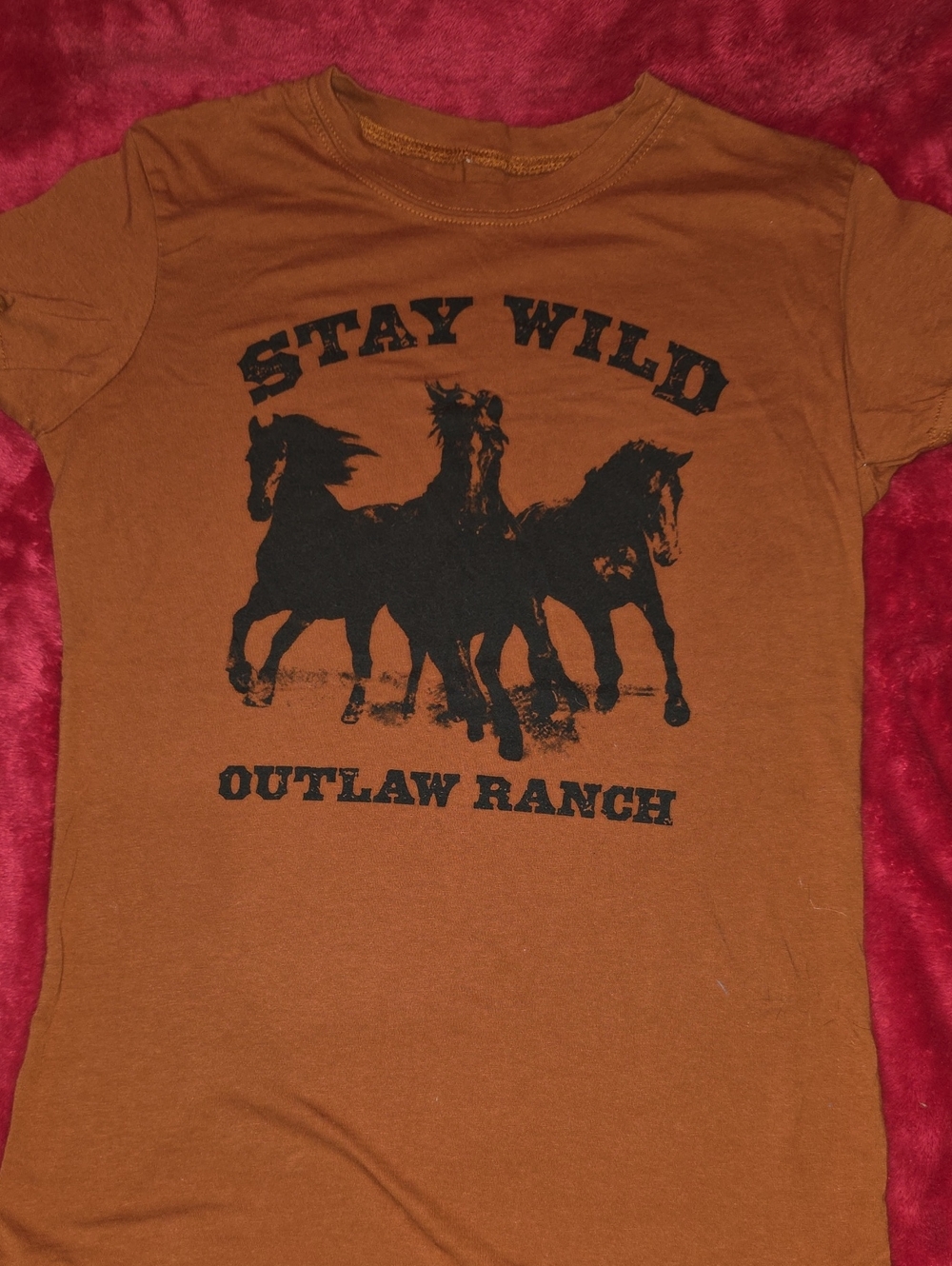 Stay Wild Outlaw Ranch Graphic Tee - Rust Orange